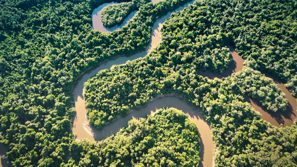 Le territoire du Xingu 